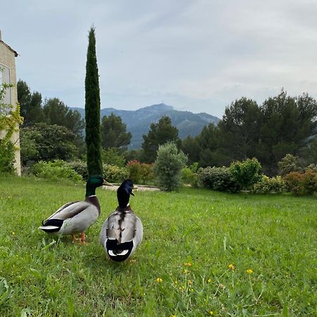 La Maison Perchee オリオール エクステリア 写真